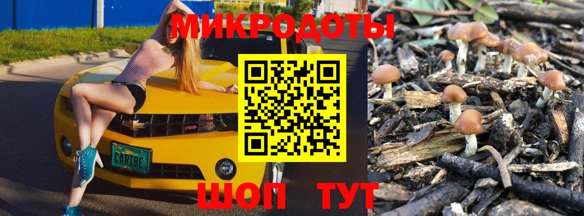 Псилоцибиновые грибы Psilocybine cubensis Коммунар